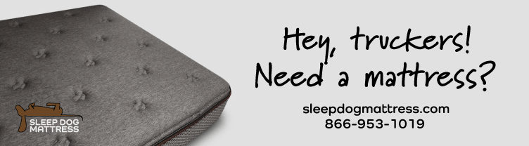 Billboard advertisement for Sleepdogmattress.com