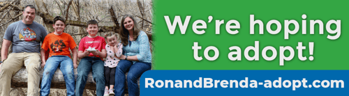 10. RonandBrenda-adopt.com