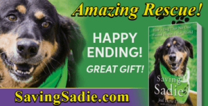9. SavingSadie.com