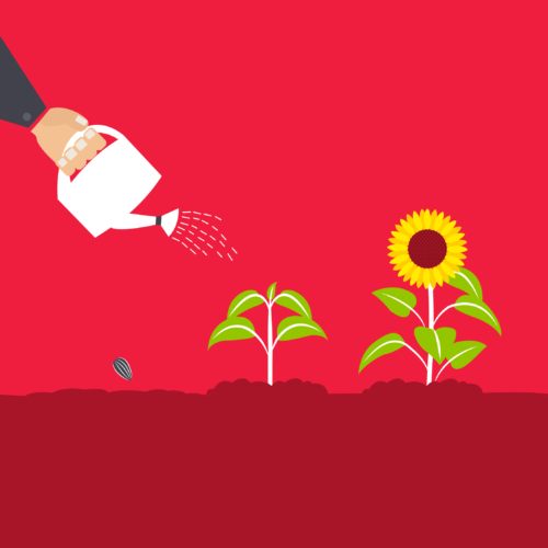Watering can growing plants marketing growth concept