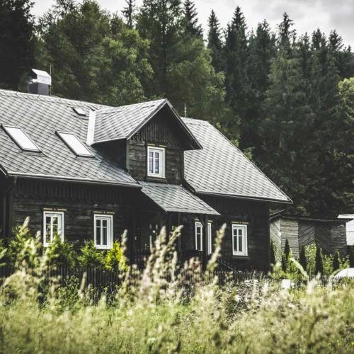 Rural house among trees and field
