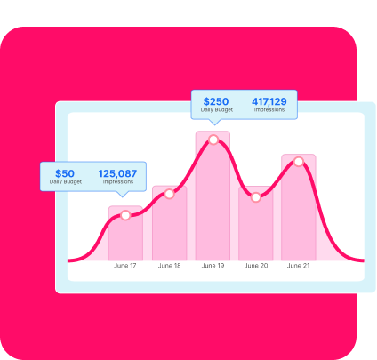Set Budget & Schedule